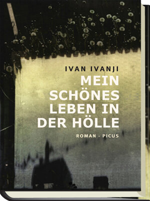 cover image of Mein schönes Leben in der Hölle